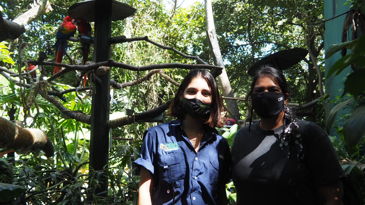 ce990ca2-7bcd-4ef7-b287-b806ea96de36 ce990ca2-7bcd-4ef7-b287-b806ea96de36