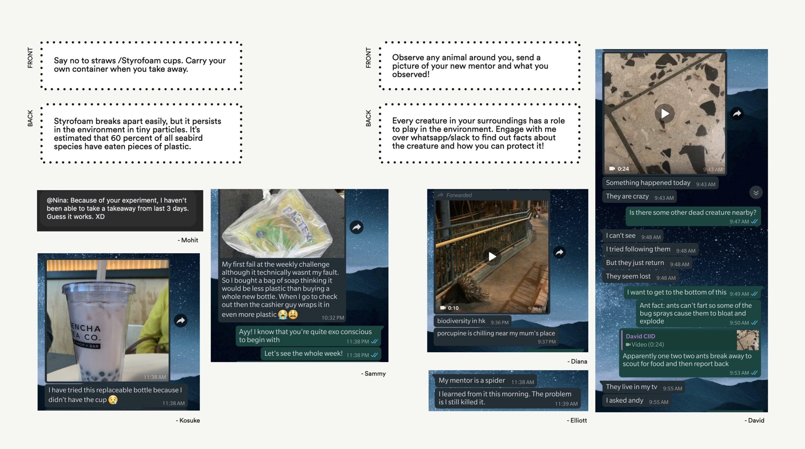 experiment copy experiment copy